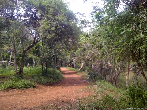 Misiones Trails