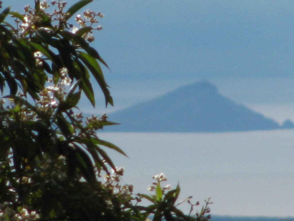 View from bedroom | Cabanas en Altos del Maria, Cabins for rent. | Image #18/25 | 