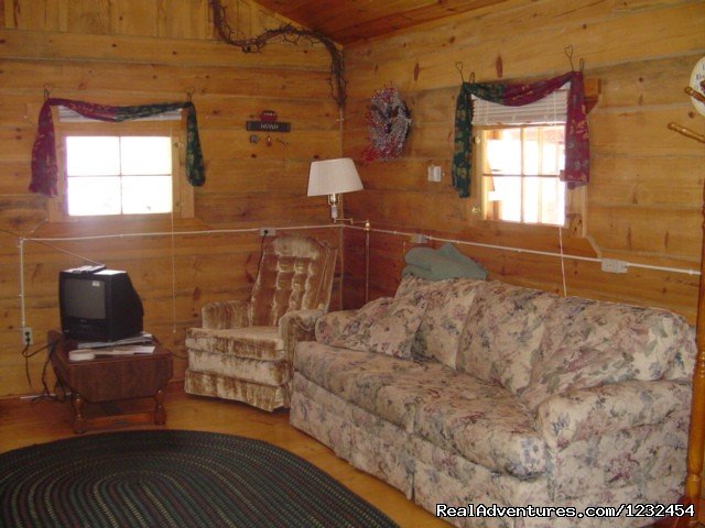 Grapevine Log Cabins B&B | Image #7/14 | 