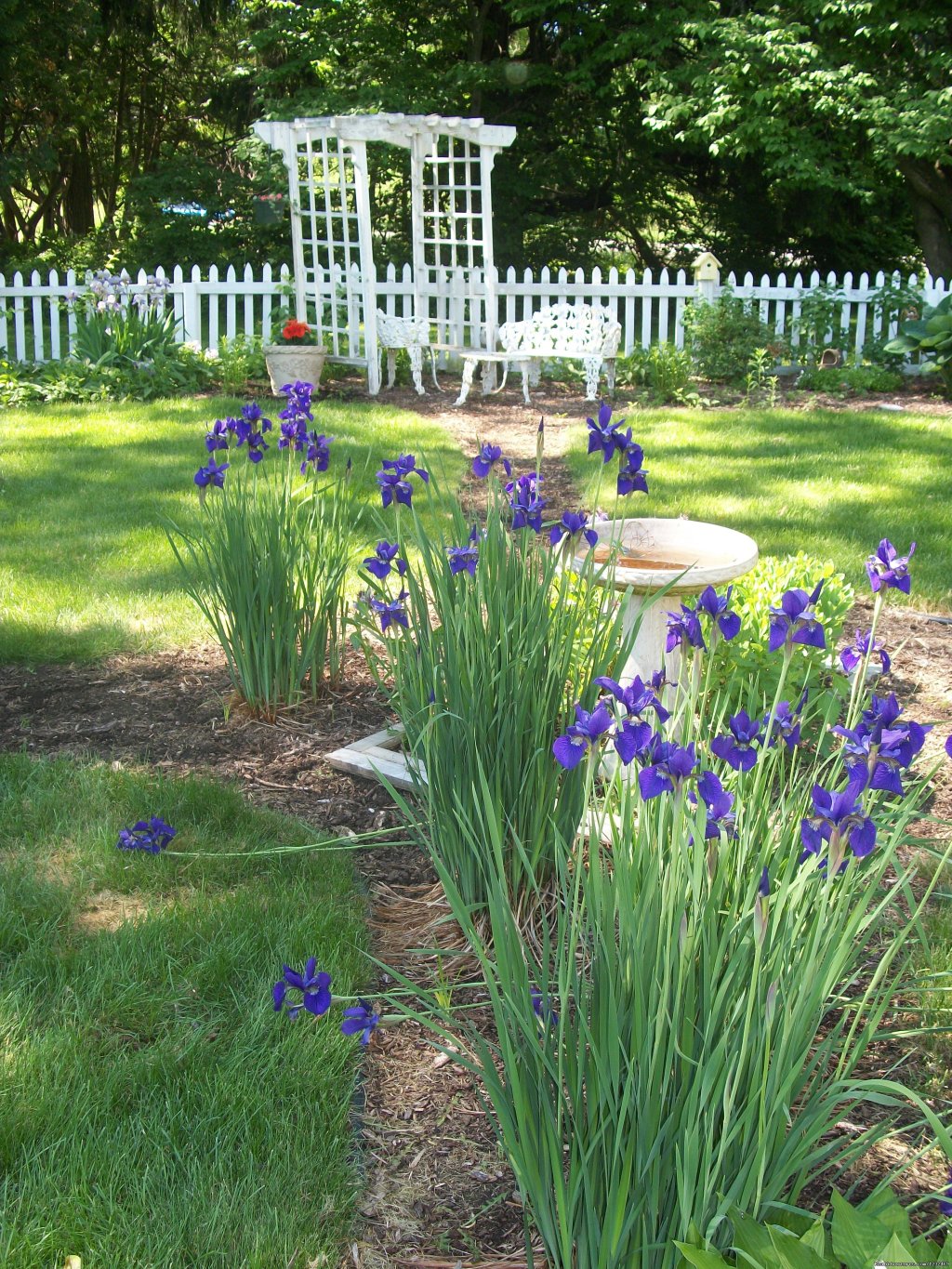 Enjoy The Garden | Apple Tree Lane B&B | Image #5/9 | 