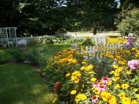 Sit Under The Arbor In The Garden