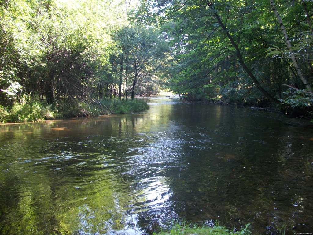 We Are On 400 ft. of Beautiful Crystal River Frontage | Apple Tree Lane B&B | Image #2/9 | 