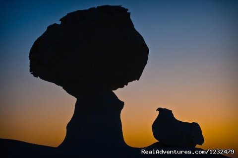 chicken rock - White desert - Baharyia Oasis