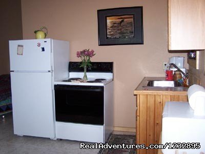 TreeFort Apartment Kitchen | Beach House Rentals | Image #9/14 | 