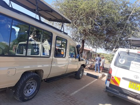 Safari Jeep