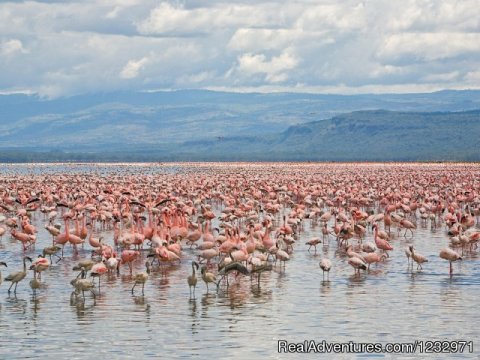 Lake Nakuru National Park