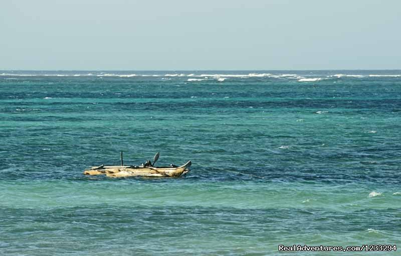 Dongwe Ocean View ZANZIBAR TANZANIA | Image #12/21 | 