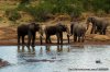 Three Days Tsavo Best Safari | mombasa, Kenya