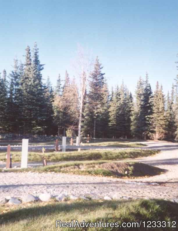 HART D RV area | Hart D Ranch:Rooms /RV Park /PO | Image #10/24 | 