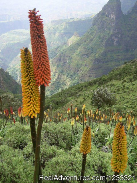 The beautiful Sceneray at Bale Mountains national Park