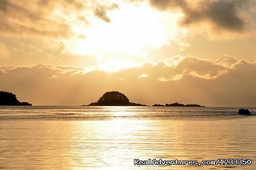 Alaska's Liveaboard Glacier Bay Cruises, 5-7 days | Image #5/21 | 