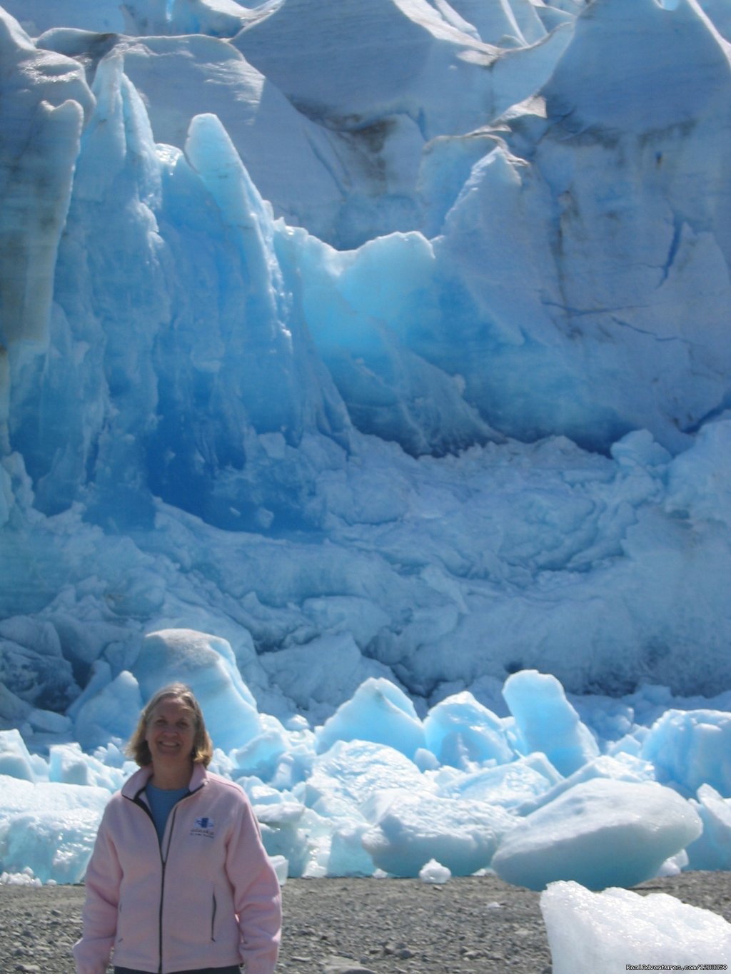 Reid Glacier | Alaska's Liveaboard Glacier Bay Cruises, 5-7 days | Image #9/21 | 