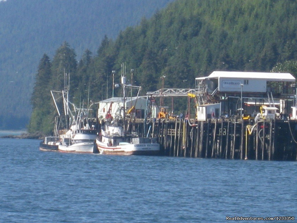 Excursion Inlet Processing Plant | Alaska's Liveaboard Glacier Bay Cruises, 5-7 days | Image #14/21 | 