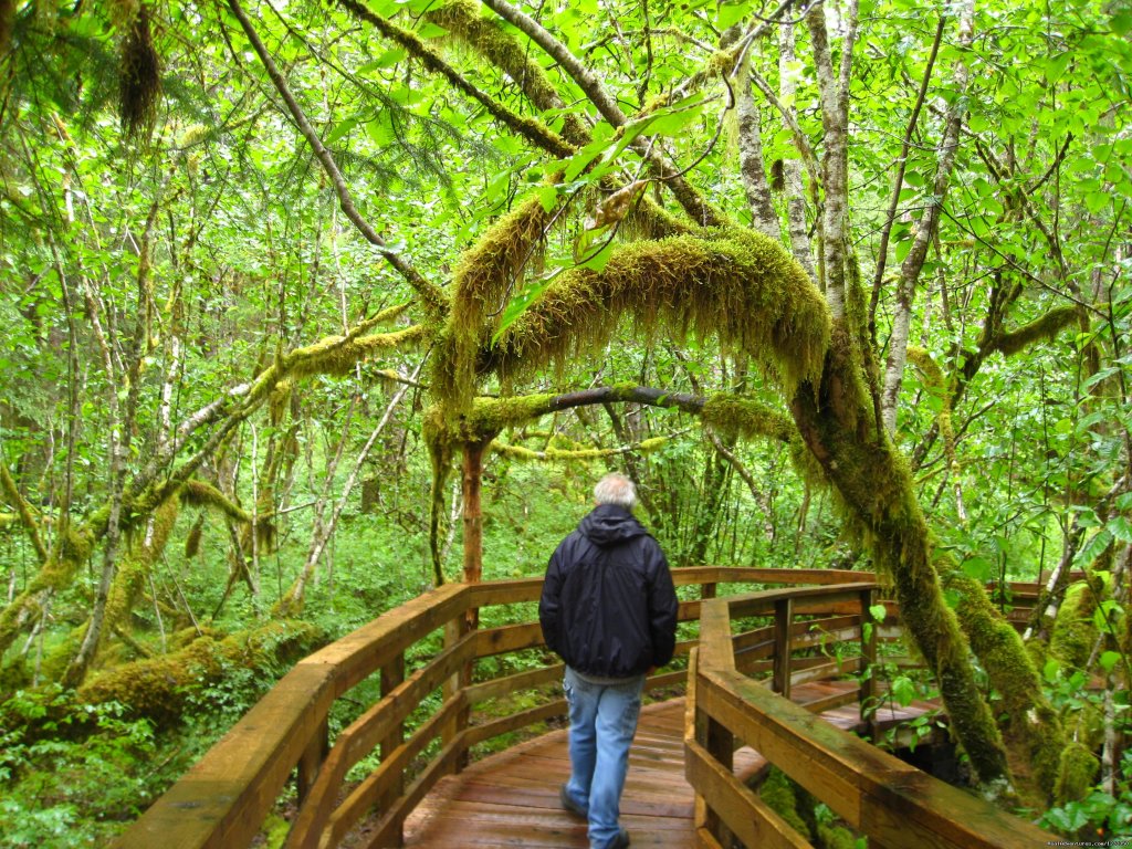 A Hike through Glacier Bay's Rain Forest | Alaska's Liveaboard Glacier Bay Cruises, 5-7 days | Image #15/21 | 