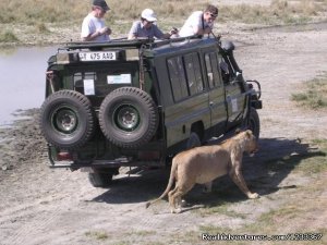 Adventure Wildlife Safari and Beach holiday