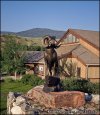 Exciting Wildlife Encounter with Bighorn Sheep | Dubois, Wyoming