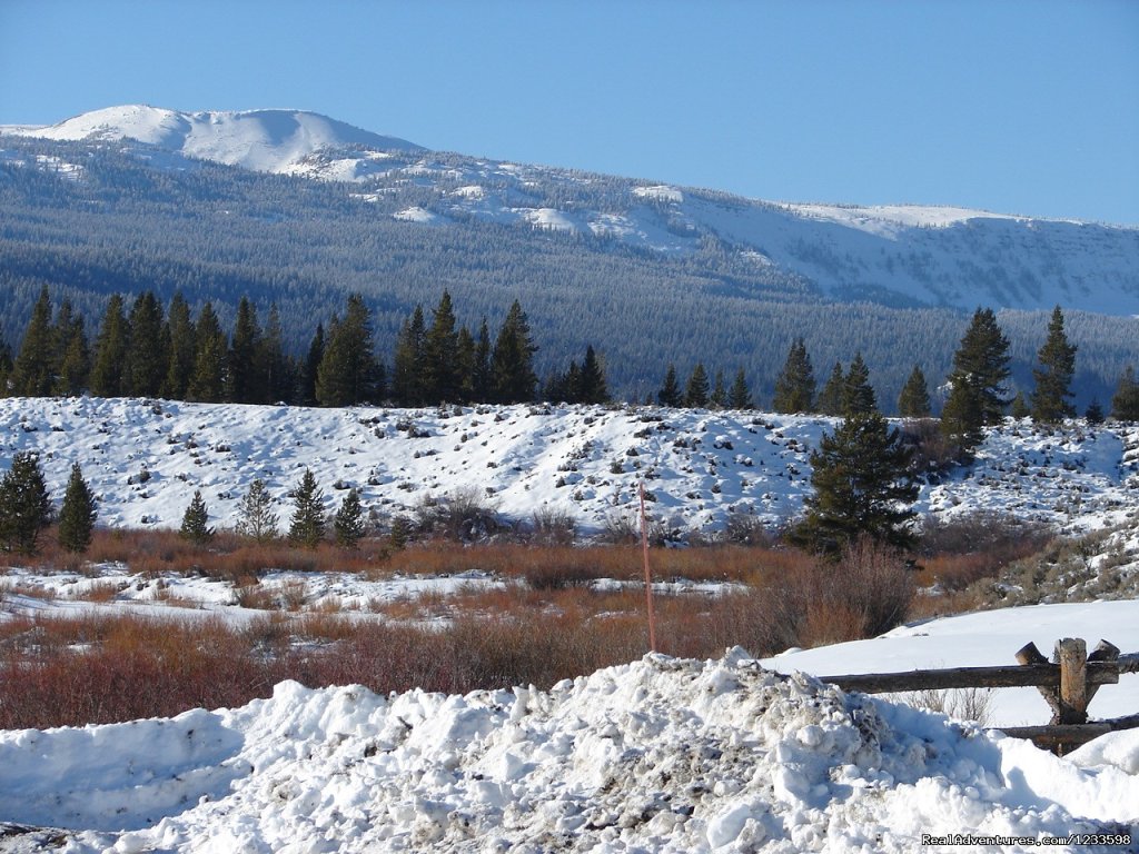 Sheridan Creek - Winter | Stagecoach Motor Inn | Image #10/23 | 