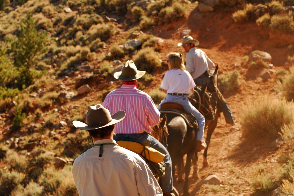 CM Ranch- Beautiful and Historic Dude Ranch | Image #19/24 | 