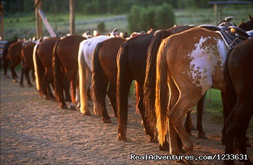 CM Ranch- Beautiful and Historic Dude Ranch | Image #22/24 | 