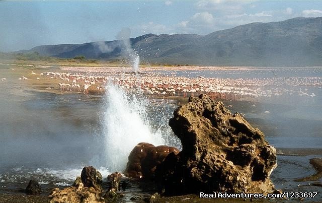 Hot springs in L.Bogoria | Africa Safari in Kenya | Image #4/4 | 