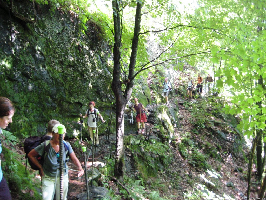 Kayaking and Hiking Adventures in Vermont | Image #15/15 | 