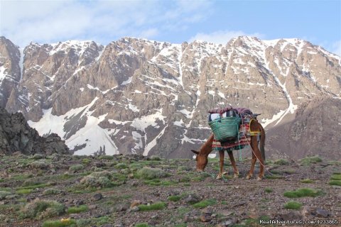 Basic camp toubkal