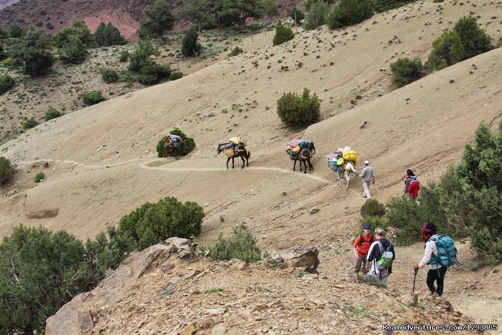 Trek Toubkal | Trekking in Toubkal - High Atlas Mountain | Image #10/11 | 