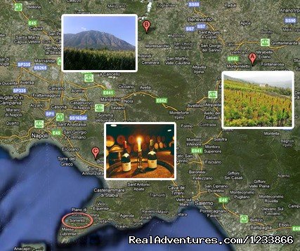 Irpinia wine tour