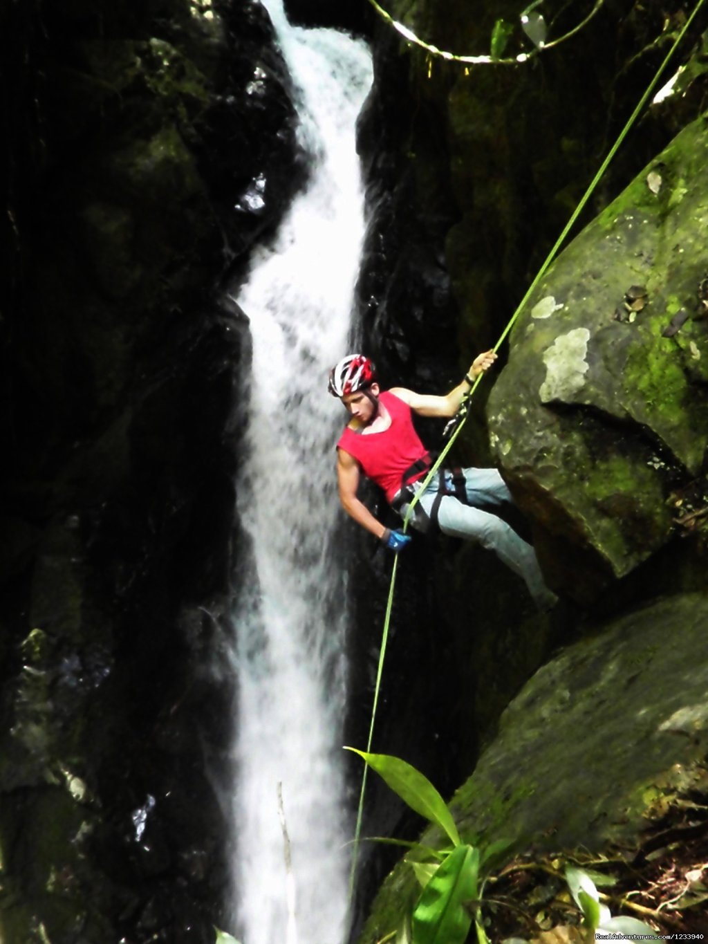 cusuco national park, san pedro sula, honduras | Top 5 NEW things to do at Cusuco National Park | Image #5/5 | 