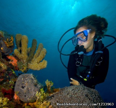 Borneo Speedy Dive & Tour | Image #7/23 | 