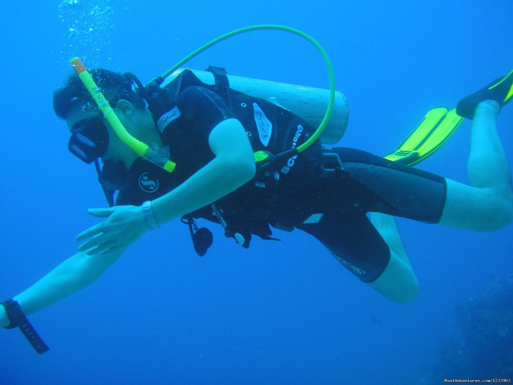 Borneo Speedy Dive & Tour | Image #20/23 | 