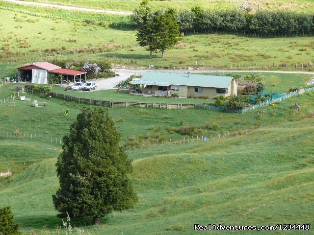 Baldrock View Farmstay | Kaiwaka, New Zealand | Bed & Breakfasts | Image #1/5 | 