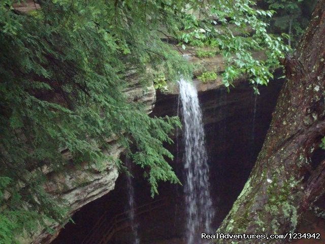 The Glass House in the Heart of  Hocking Hills | Image #8/19 | 