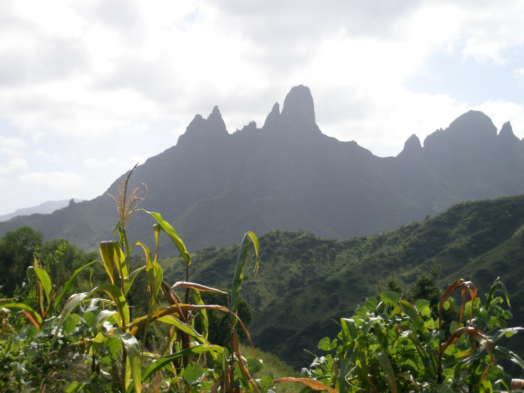 Mountain near the hotel | Palm Beach Resort ..an accessible tropical holiday | Image #3/15 | 