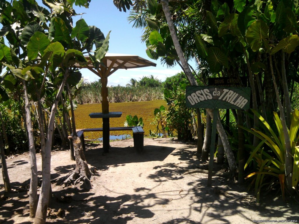 Eco trail | Relax and security in Brazil at Pousada Aquavilla | Image #16/16 | 