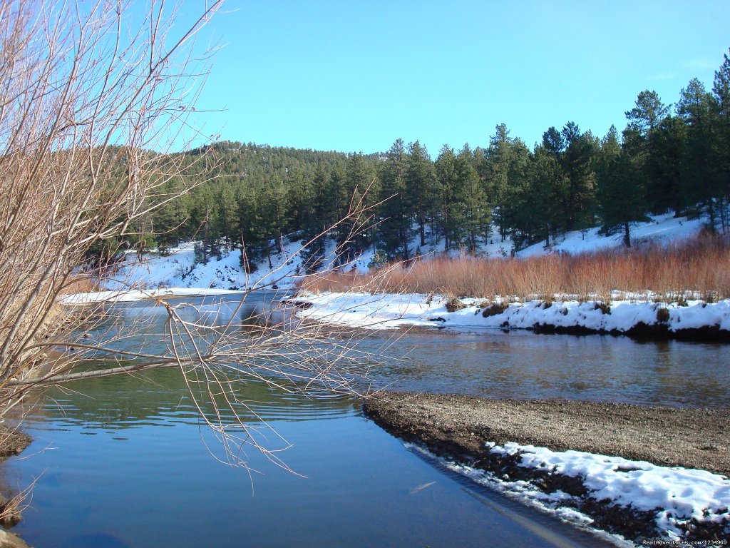 Beautiful drive along Platte river just 8 miles away | Pikes Peak Retreat In Pikes National Forest | Image #17/26 | 