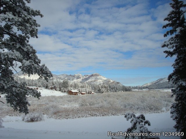 Pikes Peak Retreat In Pikes National Forest | Image #16/26 | 