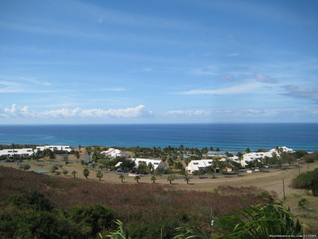 Ocean's Edge - Great Oceanfront Views, 2 Levels | Image #4/26 | 