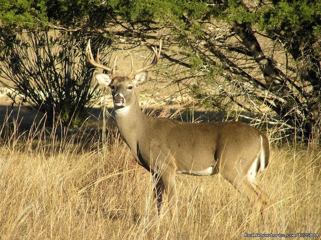 7 Days best of Kenya Safari | Image #4/13 | 