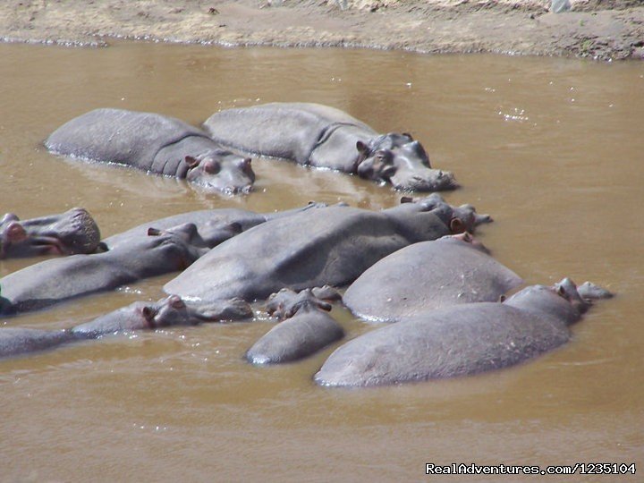 7 Days best of Kenya Safari | Image #8/13 | 