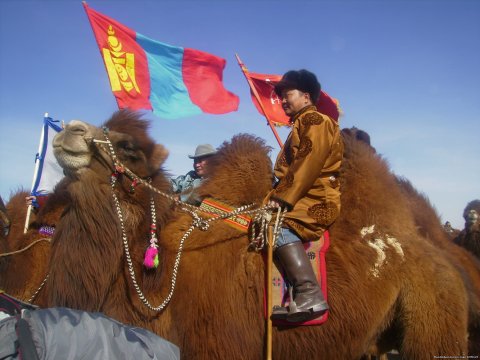 Camel Festival