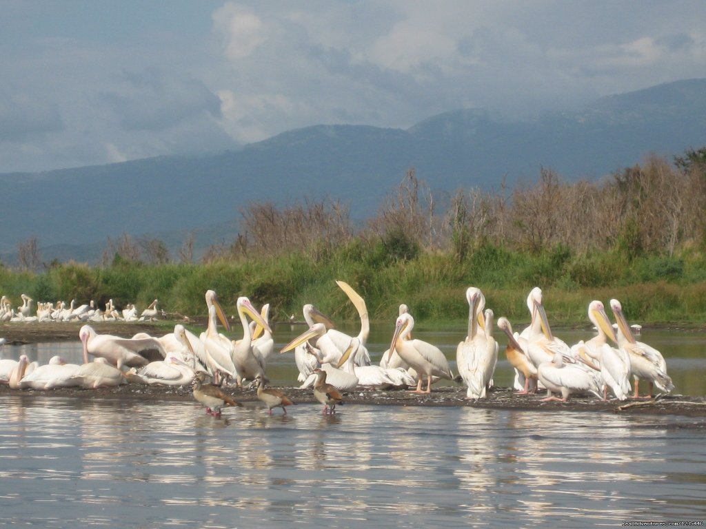 Yama Ethiopia Tours | Image #3/5 | 