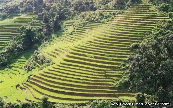 Terraced fields | Sapa adventure 2 days 1 night by bus | Image #3/16 | 