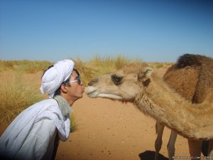 Real Morocco Tours