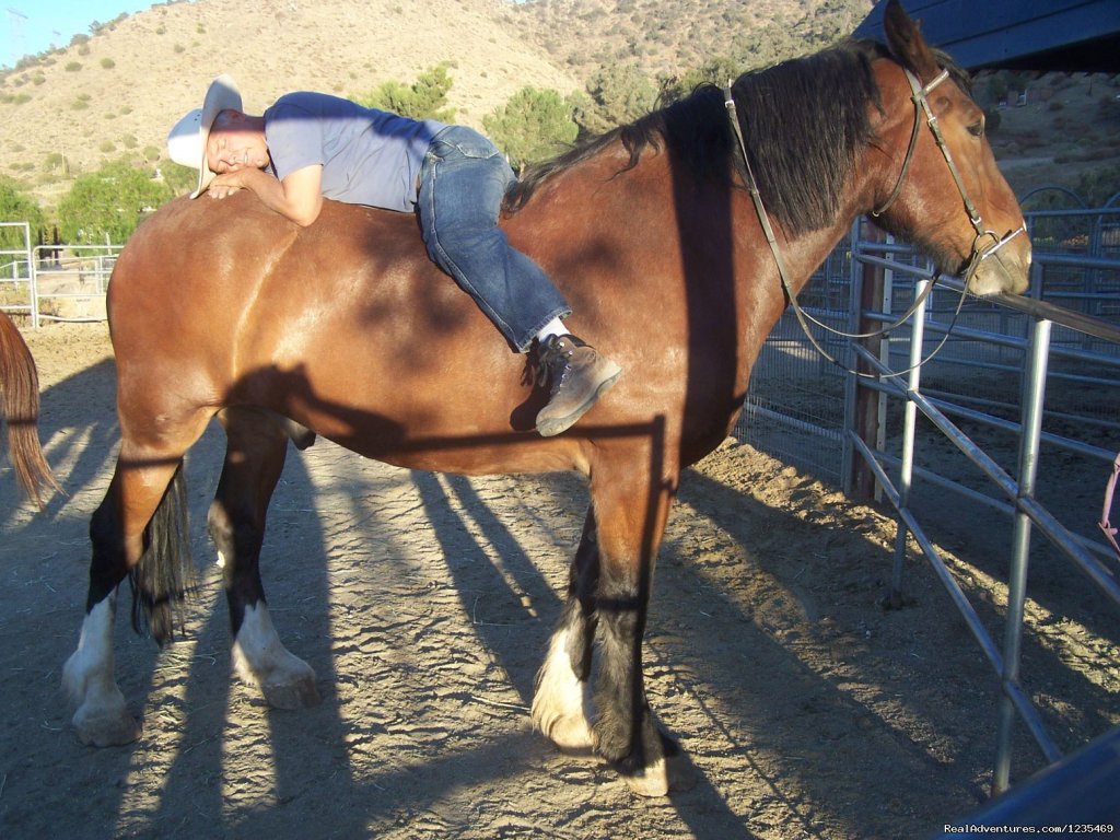 Dinner trail rides to a great Mexican Resturant | Image #5/11 | 