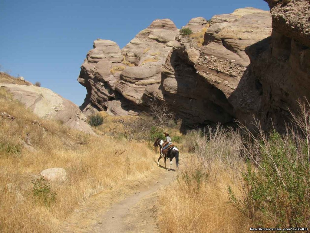 Dinner trail rides to a great Mexican Resturant | Image #8/11 | 