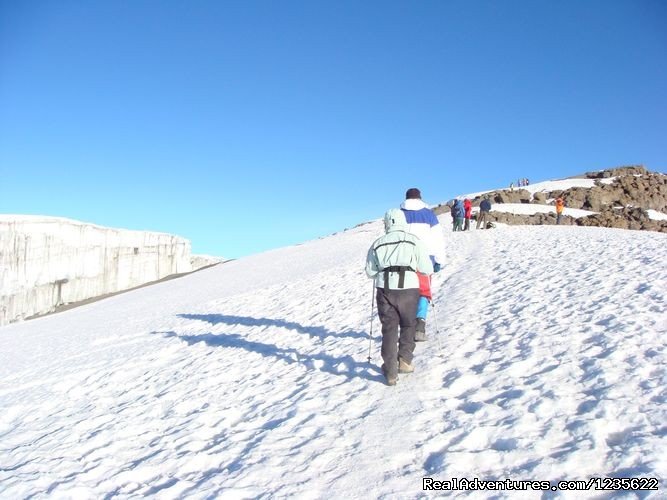 Budget kilimanjaro climbing trips | Climbing kilimanjaro tours, trekking in Tanzania | Image #5/7 | 