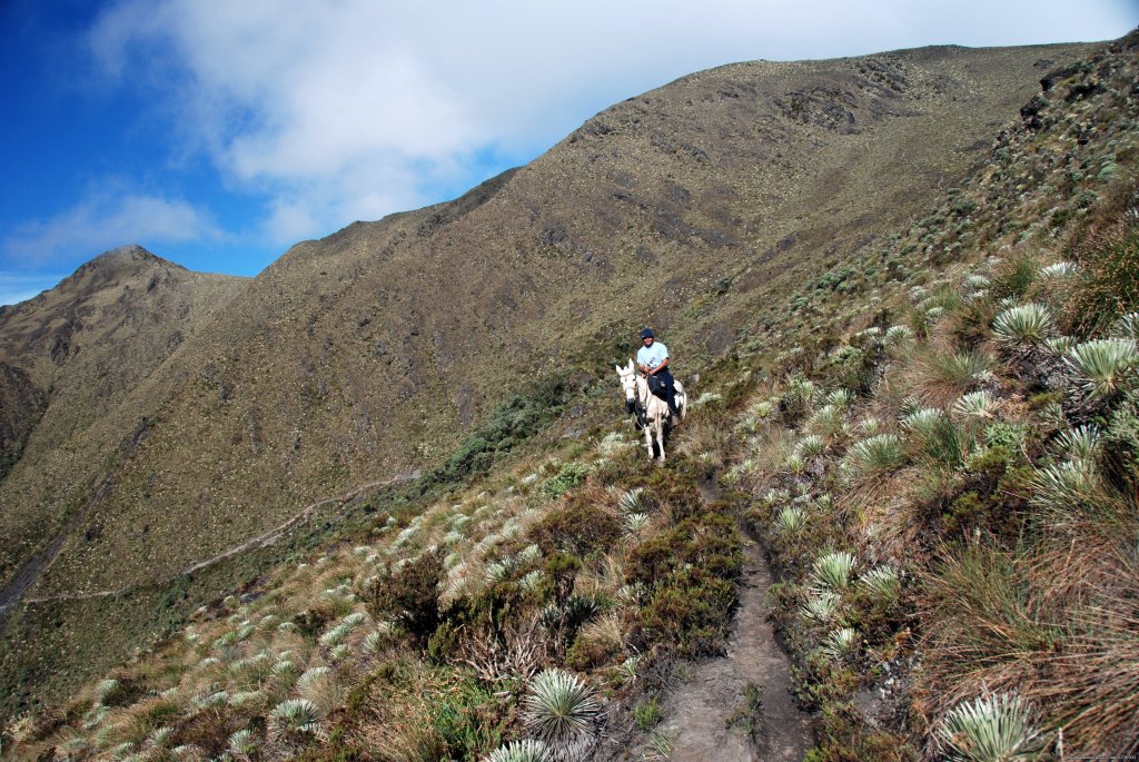 Camino Real del Quino 5 days / 4 Nights | Image #5/20 | 