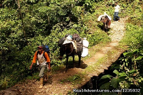 Camino Real del Quino 5 days / 4 Nights | Image #17/20 | 