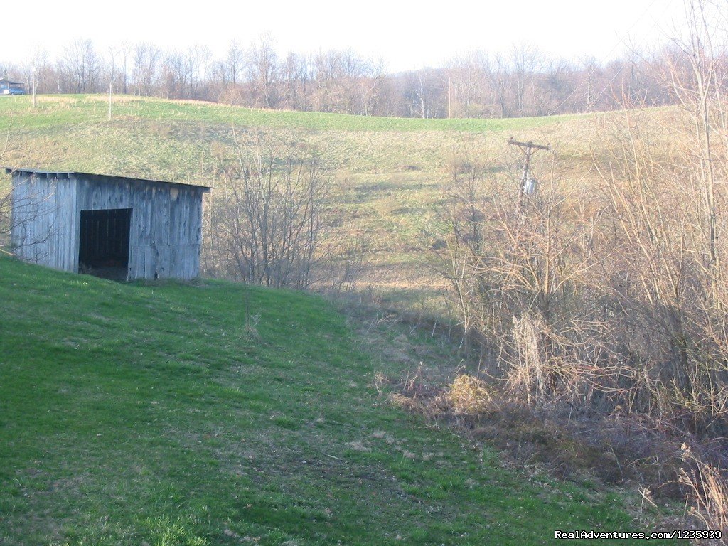 View from Deck | Escape to the country @ the Rim Of The World Cabin | Image #6/7 | 